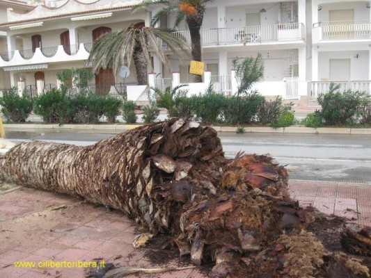 Archivio Notizie Corriere di Sciacca